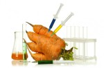 GMO carrot