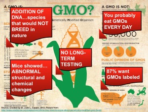 GMOs in capital letters