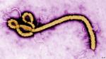 Ebola