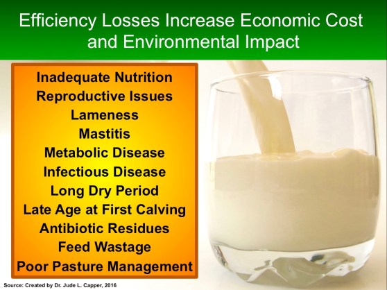 efficiency-losses-uk