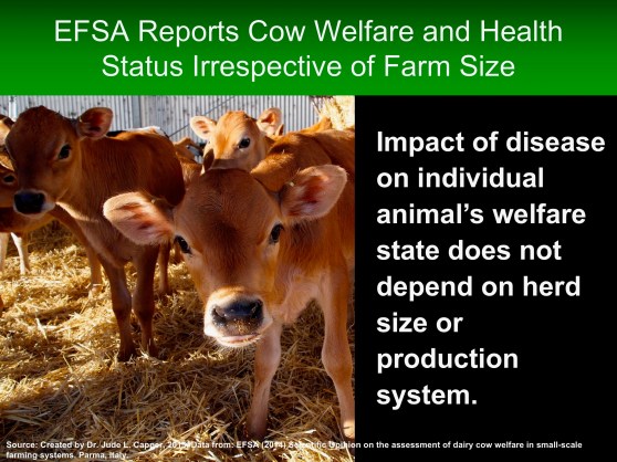 efsa-farm-size-irrespective