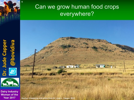 Human crops everywhere S Africa blue